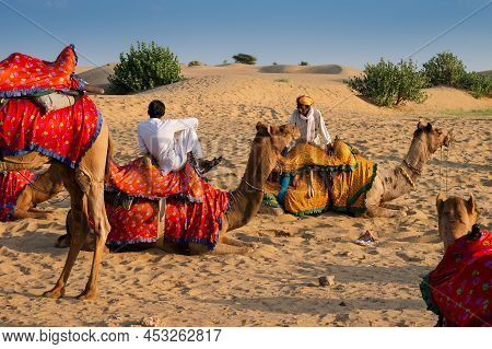Thar Desert, Rajasthan, India - October 15th 2019 : Camel Owners With Camels,camelus Dromedarius, At