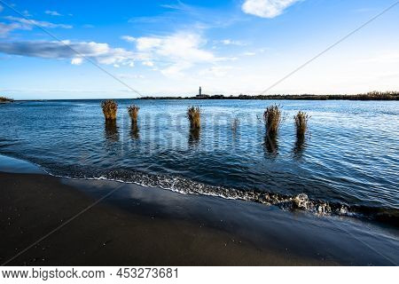 Bricole And Palisades For A Mussel Farm At The Mouth Of The Po River Delta