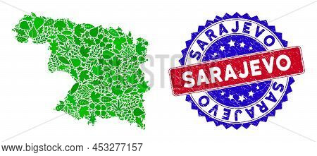 Eco Zamora Province Map Collage Of Herbal Leaves In Green Color Variations With Grunge Bicolor Saraj