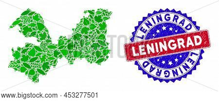 Eco Leningrad Oblast Map Collage Of Floral Leaves In Green Color Tints With Grunge Bicolor Leningrad