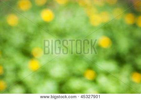sfondo verde bokeh