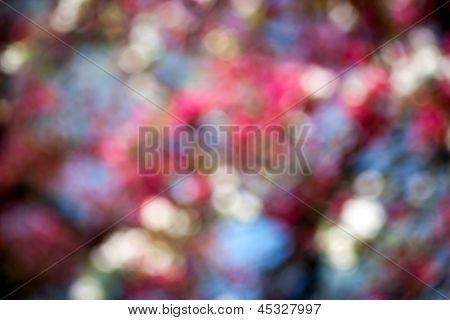 bokeh rosa sfondo orizzontale