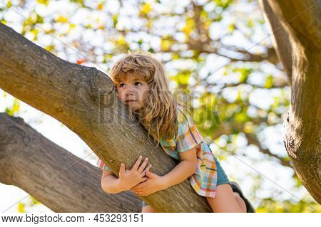 Happy Child Playing In The Garden Climbing On The Tree. Kid Boy Playing And Climbing A Tree And Hang