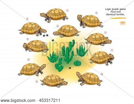 Logic Puzzle Game For Children And Adults. Find Two Identical Turtles. Memory Exercises For Seniors.