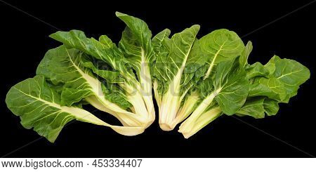 Blitva, Chard Leaves - Popular Leafy Vegetables In Balkan Cuisine. Isolated On Black