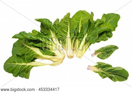 Blitva - Chard Leaves - Popular Leafy Vegetables In Balkan Cuisine. Isolated On White