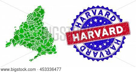 Ecology Madrid Province Map Collage Of Herbal Leaves In Green Color Variations And Grunge Bicolor Ha