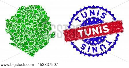 Ecology Sierra Leone Map Collage Of Floral Leaves In Green Color Variations With Grunge Bicolor Tuni
