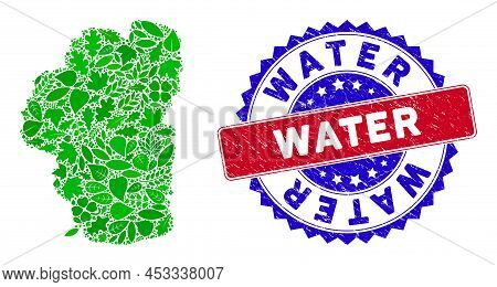 Ecology Tahoe Lake Map Collage Of Herbal Leaves In Green Color Hues With Grunge Bicolor Water Seal S