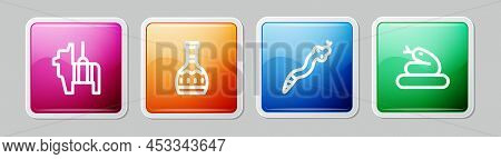 Set Line Pinata, Tequila Bottle, Snake And . Colorful Square Button. Vector