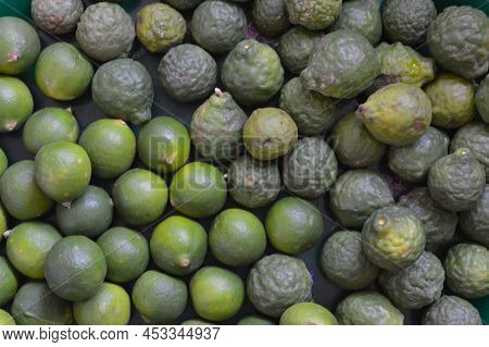 Close Up View Of Kaffir Lime Fruits And Green Calamansi Lime Fruits