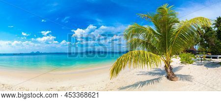 Panorama Of  Single Small Palm Tree Hanging Over Tropical Beach With White Sand