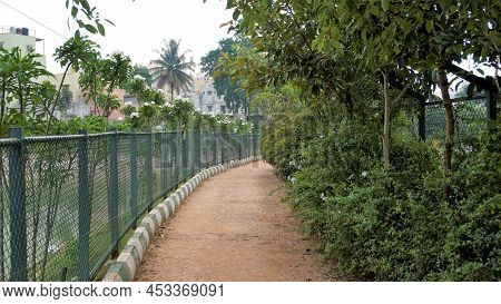 Beautiful View Of Bbmp Kalena Agrahara Lake. Spread Across Seven Acres With Freshwater, Thick Greene