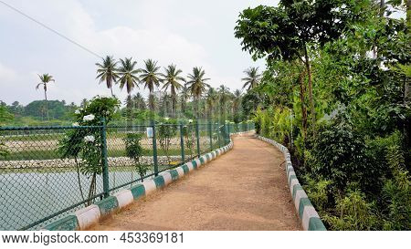 Beautiful View Of Bbmp Kalena Agrahara Lake. Spread Across Seven Acres With Freshwater, Thick Greene