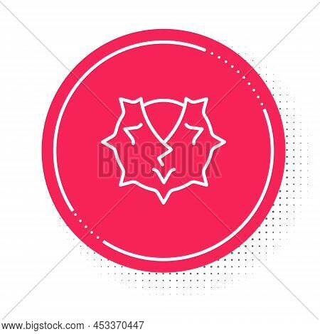White Line Chestnut Icon Isolated On White Background. Barbed And Strong Chestnut. Red Circle Button