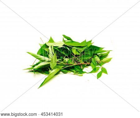Fresh Pile Of Jute Mallow Or Red Stem Mulukhiyah Leaves And Branches Isolated On White Background