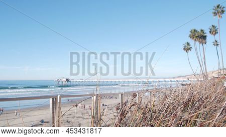 Palm Trees On Pacific Ocean Beach Or Shore, California Coast, La Jolla Ellen Browning Scripps Memori