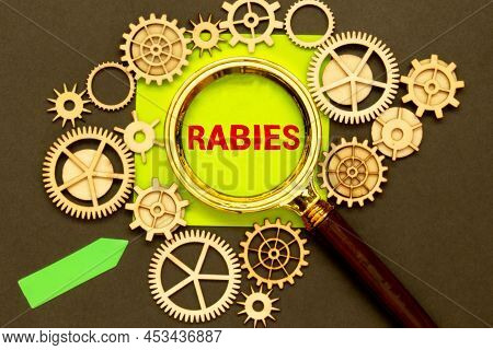 The Word Rabies In A Magnifying Glass.