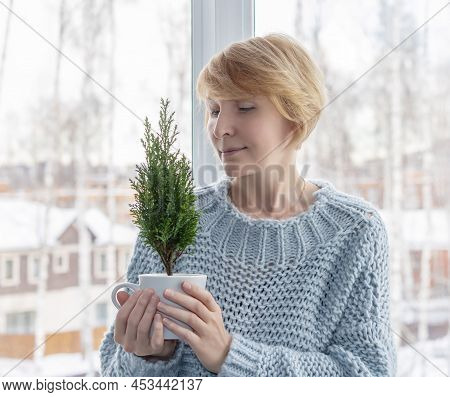 A Woman Holds In Her Hands A Small Fur-tree Growing In A Cup, Standing By The Window