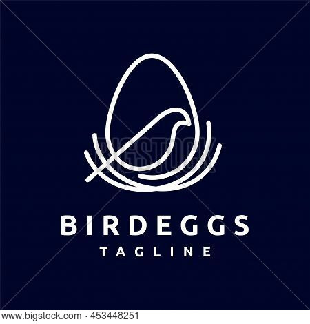 Bird Eggs Logo With Line Art Concept