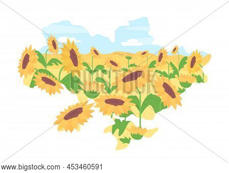 Map Of Ukraine And Sunflowers 2d Vector Isolated Illustration. National Independence Day Flat Object