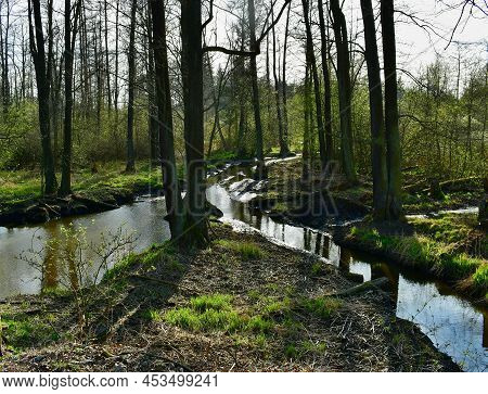 View Ofspring Landscape, Southern Bohemia . Czech Republic