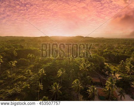 Drone Aerial View Of Sunset Over Coconut Trees In Ilheus Bahia Brazil.