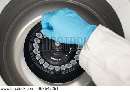 Scientist Puts Microcentrifuge Tubes Into Centrifuge For Phase Separation. Metabolomic And Lipidomic