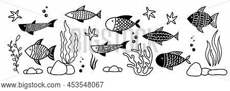Fish And Seaweed Vector Set. Silhouettes Of Corals, Carps And Algae In Doodle Style. Drawing Of Unde