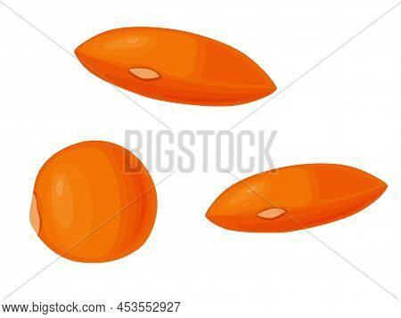 Orange Lentil. Beans Icon. Vector Illustration Of Legumes In Cartoon Flat Style.
