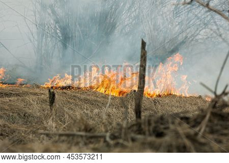 The Smoke Rising From A Grassland Wildfire Next To A Forest