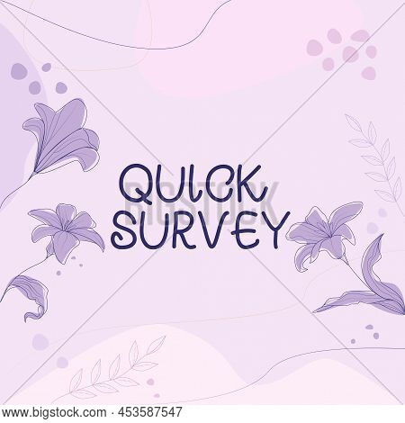 Inspiration Showing Sign Quick Survey. Business Approach Conduct Fast Check On Condition Value Situa