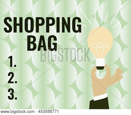Text Showing Inspiration Shopping Bag. Business Overview Containers For Carrying Personal Possession