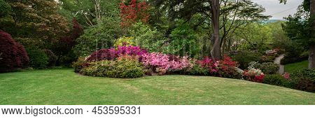 Beautiful Garden With Blooming Trees And Bushes During Spring Time, Wales, Uk, Banner Size