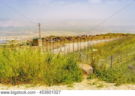 View Of Cows And Landscape Of The Lower Jordan River Valley, Of A Foggy Day, From The Noah Kinarti O