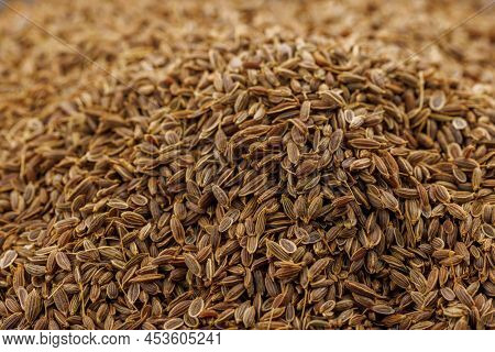 Dry Rolls Dill - Anethum Graveolens - Pile Closeup Full-frame View With Selective Focus. It Is Only 