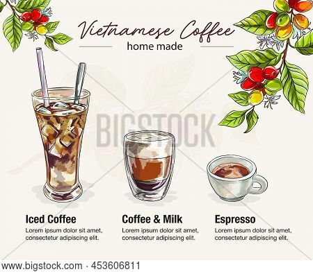 Coffee Types Illustration Concept Vector Illustration. Graphic Style Elements: Label, Postcard, Stic