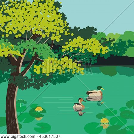 Ducks On Pond In Summer Urban Garden Vector Poster. City Public Park Background. Green Tree, Water P
