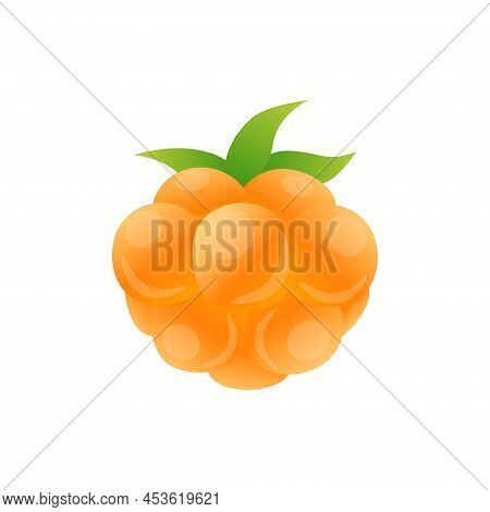 Orange Cloudberry Berry Flat Icon With Inscription Colorful Vector Illustration Of Eco Food Isolated