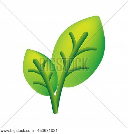 Realistic Green Leaves For Decoration Design. Plant Leaf Sign. Spring Decoration. Vector Illustratio