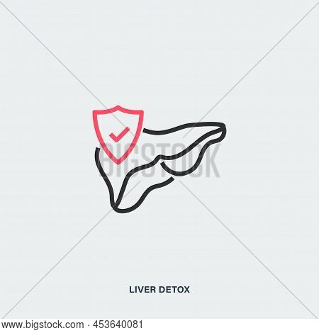 Liver Detox Outline Vector Icon. Isolated Linear Picture Of Liver And Shield