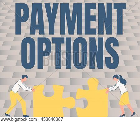 Conceptual Caption Payment Options. Internet Concept The Way Of Chosen To Compensate The Seller Of A