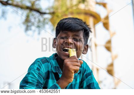 Village Teenger Kid Eating Sugarcane At Farmland - Concept Of Childhood Lifestyles, Healthcare And P