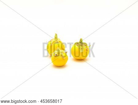 Three Over Ripen Yellow Small Round Eggplant For Heirloom Seed Saving Isolated On White Background