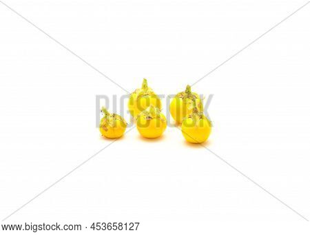 Five Over Ripen Yellow Small Round Eggplant For Heirloom Seed Saving Isolated On White Background