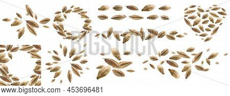 A Set Of Photos. Barley Malt Grains Levitate On A White Background