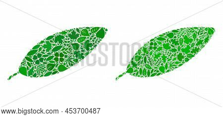 Eco Coca Leaf Icon Composition Of Floral Leaves In Green And Natural Color Tinges. Ecological Enviro
