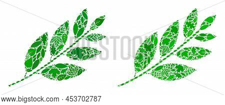 Ecology Coca Plant Leaves Icon Collage Of Herbal Leaves In Green And Natural Color Shades. Ecologica