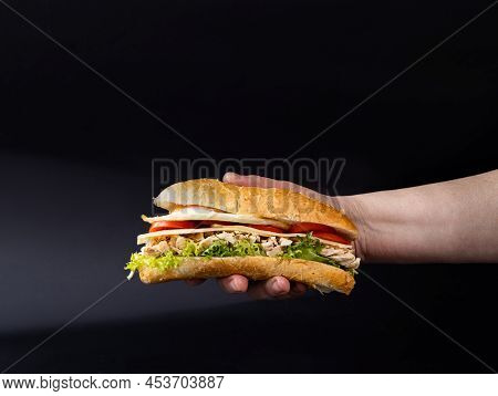 Homemade Hoagie With Meat Chicken Egg, Lettuce And Tomato. Official Sandwich Of Philadelphia. Nation