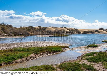 View On The Dunes Of Maspalomas And The Nature Reserve Charca De Maspalomas Lagoon On The Canary Isl